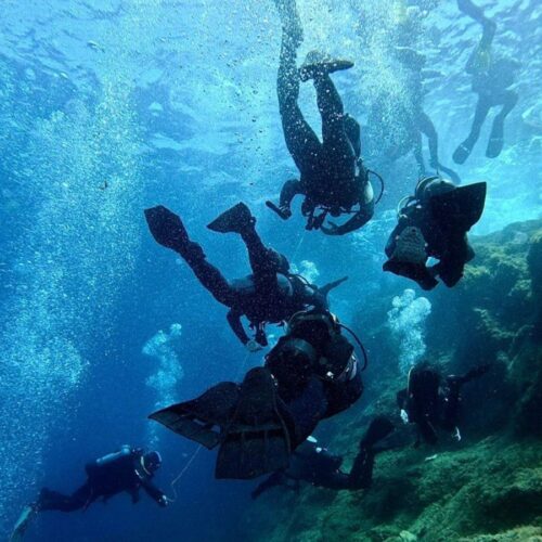 Staffordshire and West Midlands ACF PADI opportunity