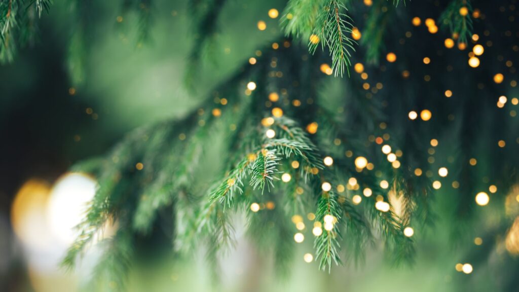 fun festive quiz